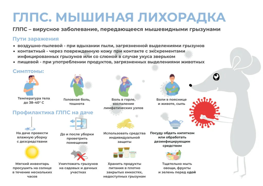 Геморрагическая лихорадка с почечным синдромом (ГЛПС).