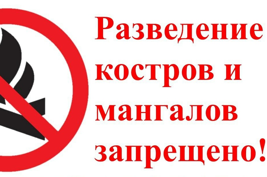 В Кировской области запретили костры и мангалы.