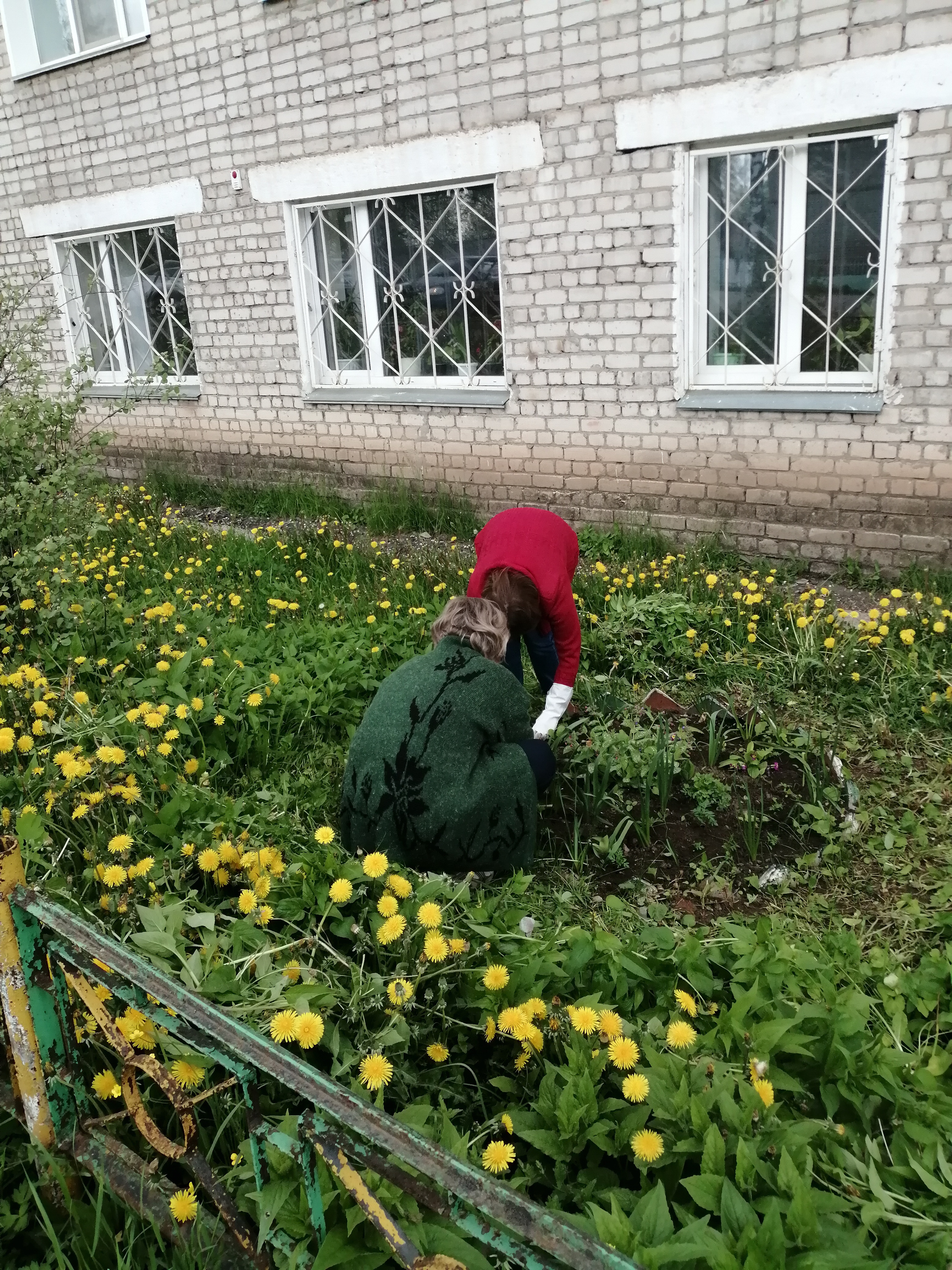 Мероприятия по озеленению территорий города в рамках акции &quot;Зеленая весна-2025&quot;.