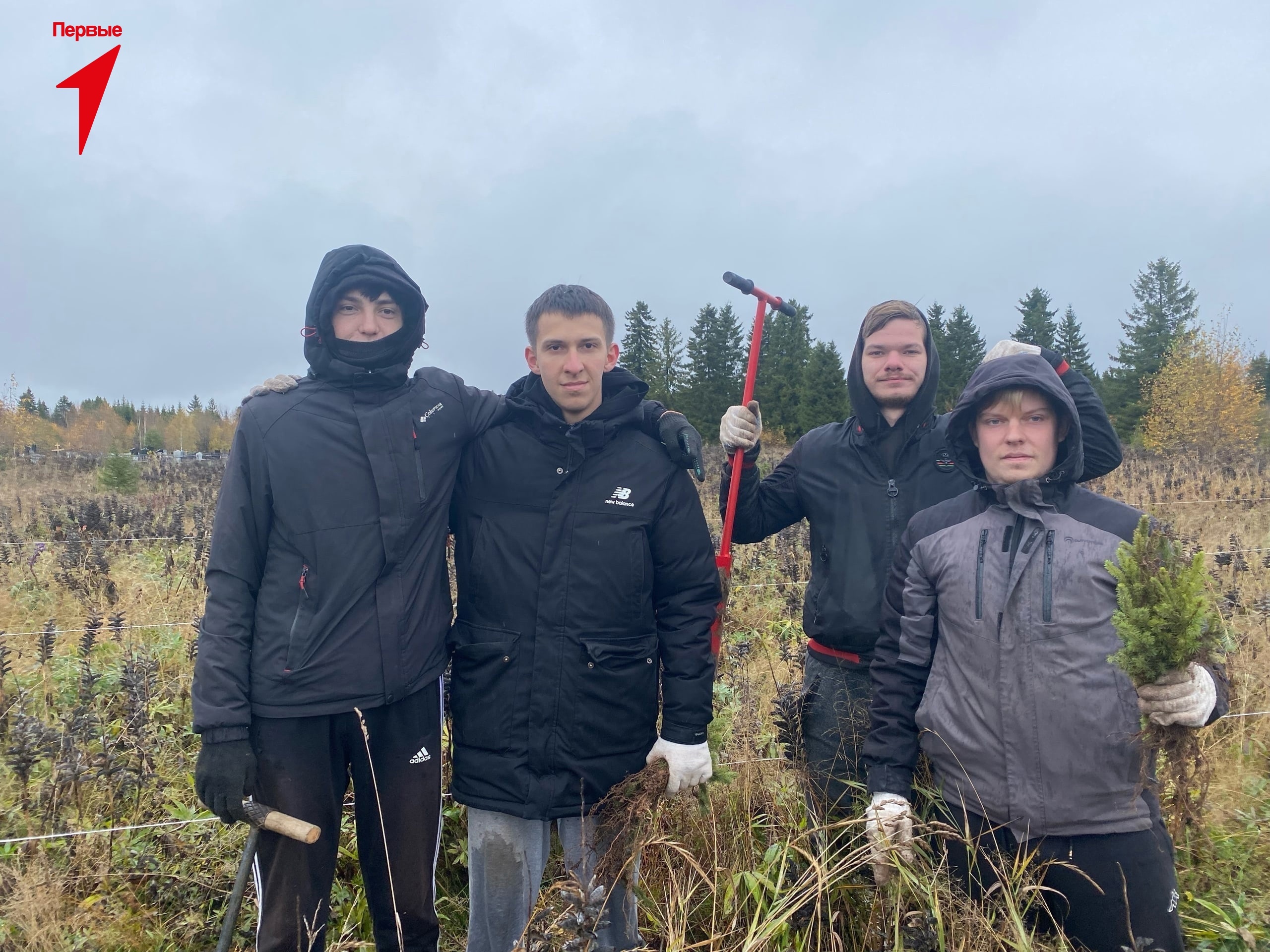 Посадили саженцы ели в рамках проекта  «Практика лесного волонтёрства» на территории Омутнинского района.