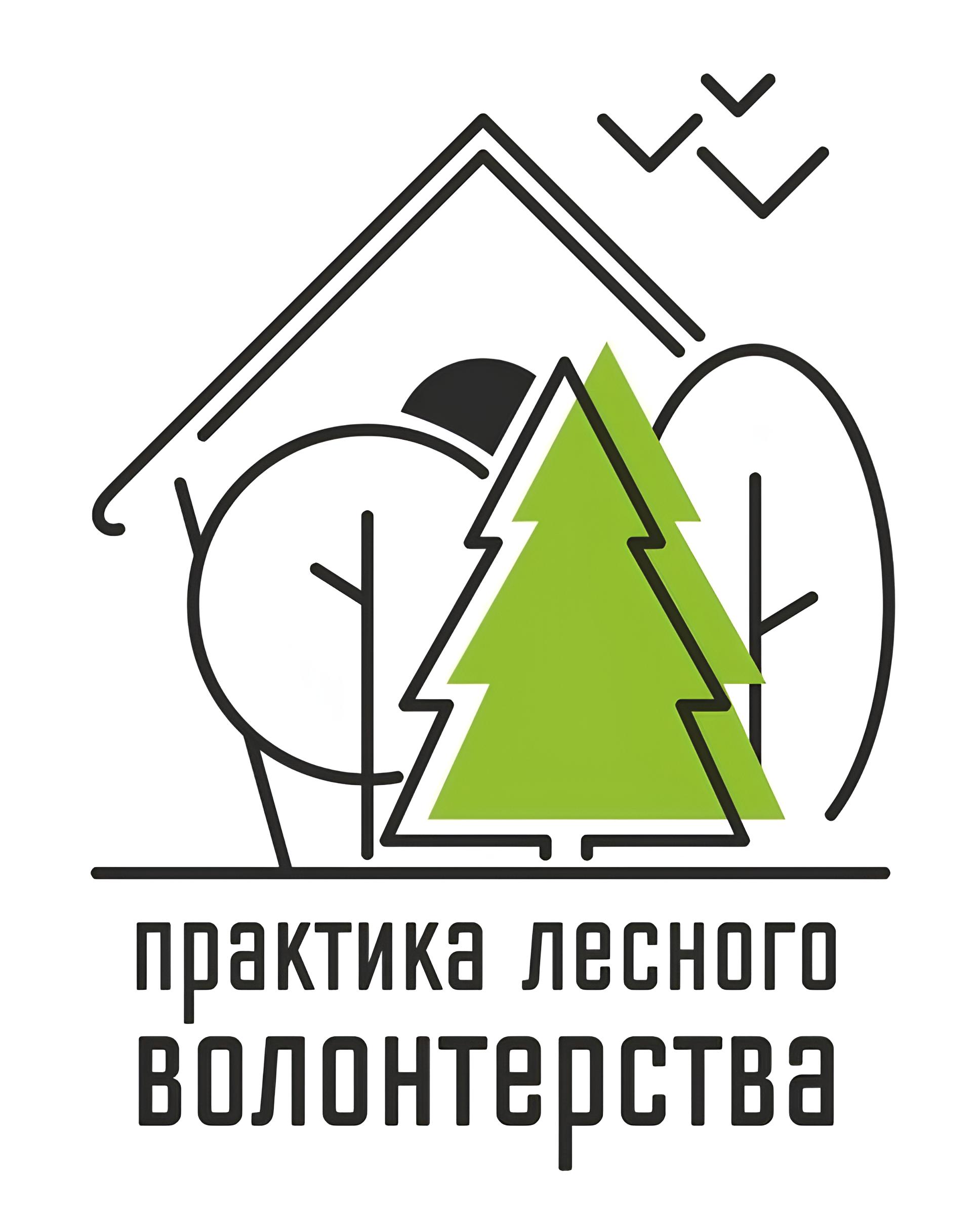 Проект «Практика лесного волонтерства» на территории Омутнинского района.