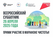 О проведении Всероссийского субботника 2025  на территории Омутнинского городского поселения.