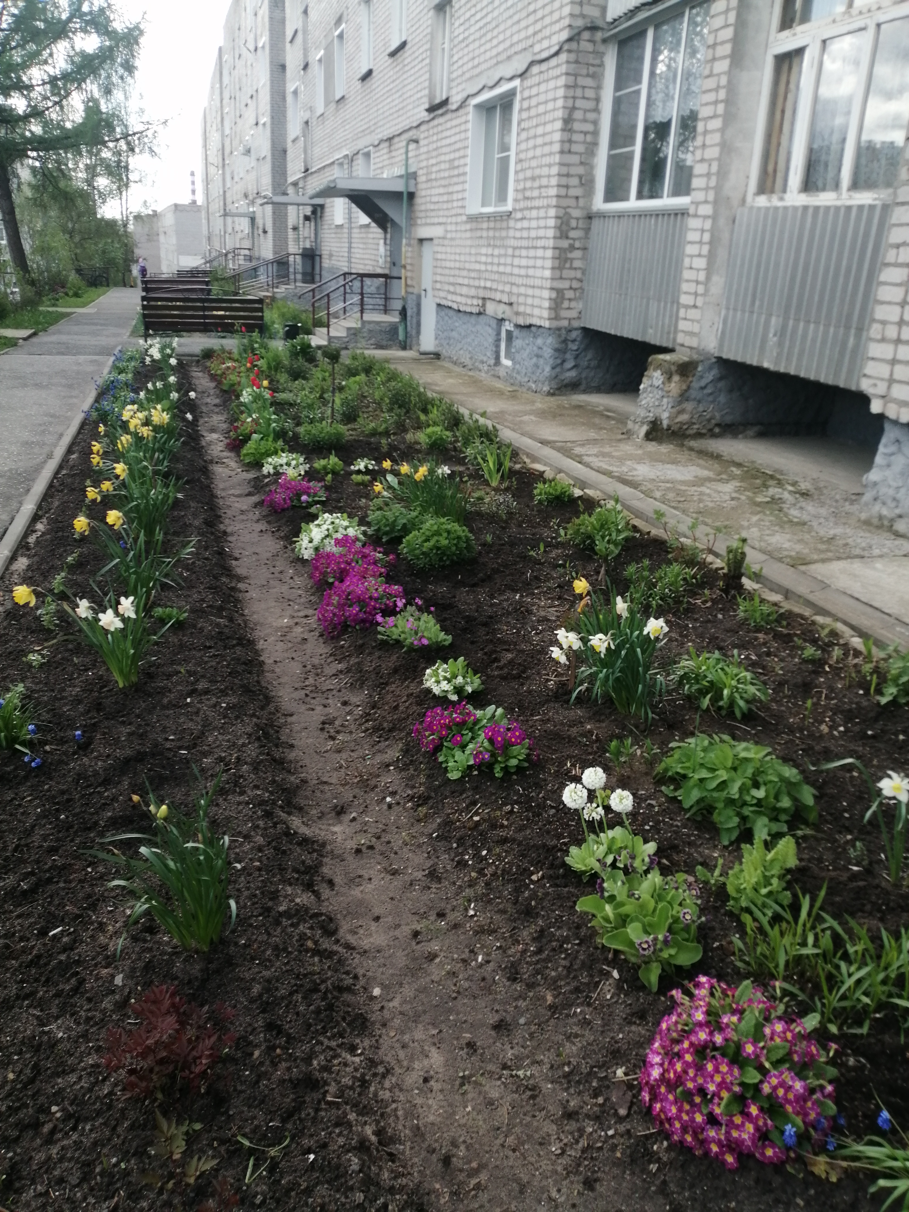 О реализации приоритетного проекта  «Формирование комфортной городской среды»  на территории муниципального образования Омутнинское городское поселение Кировской области.