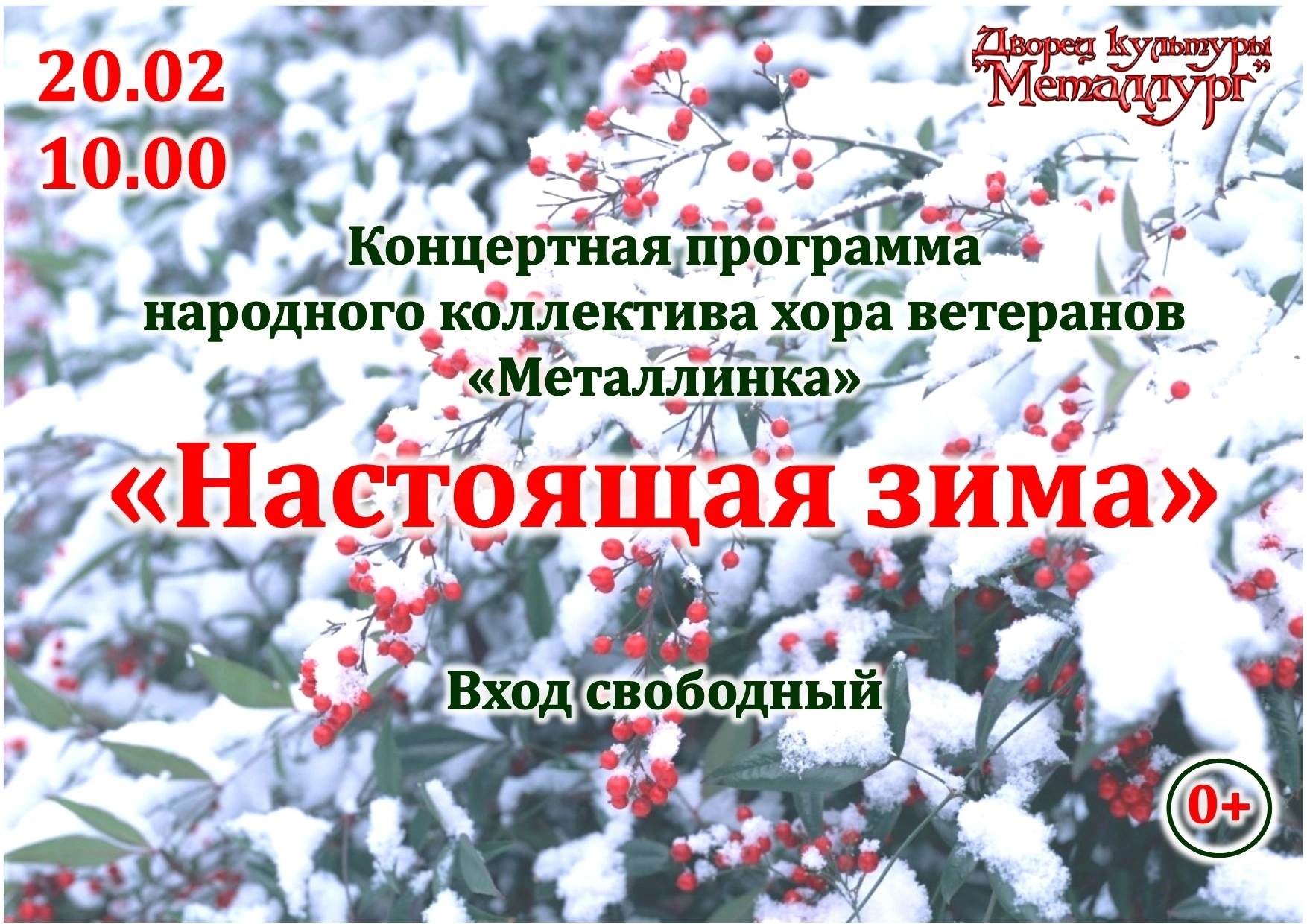 Концертная программа народного коллектива хора ветеранов «Металлинка» - «Настоящая зима» (0+).