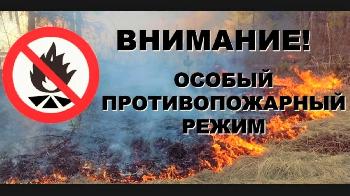 В Кировской области введен особый противопожарный режим.