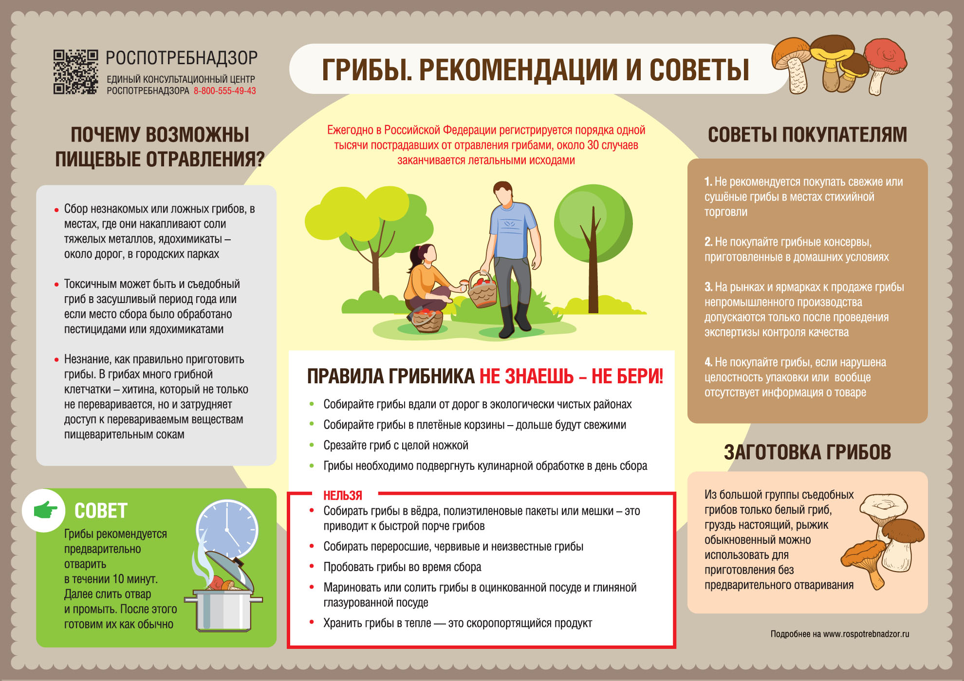 Меры предосторожности при употреблении грибов.