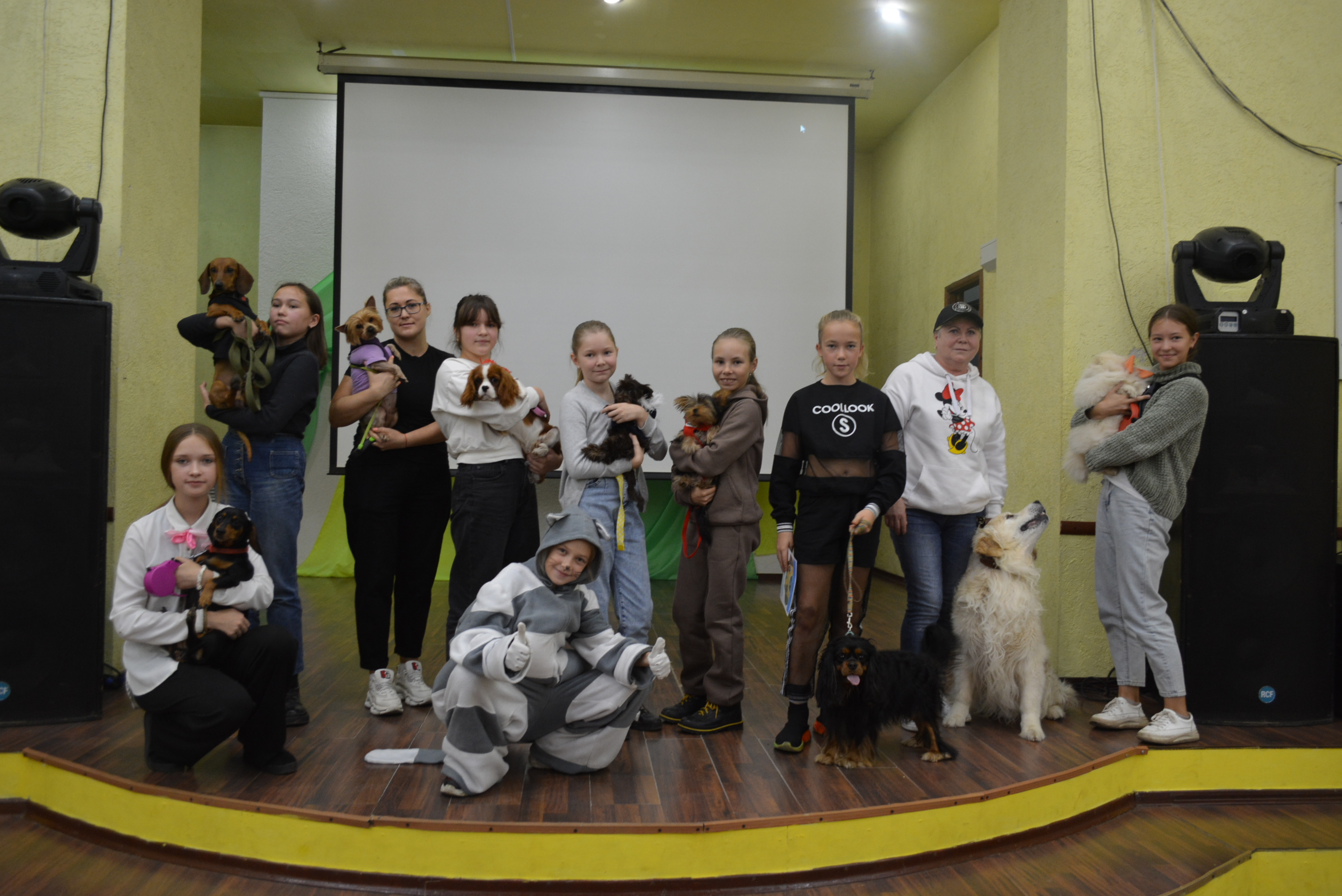 В Омутнинске состоялась выставка собак.