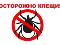 Осторожно! Клещи!.