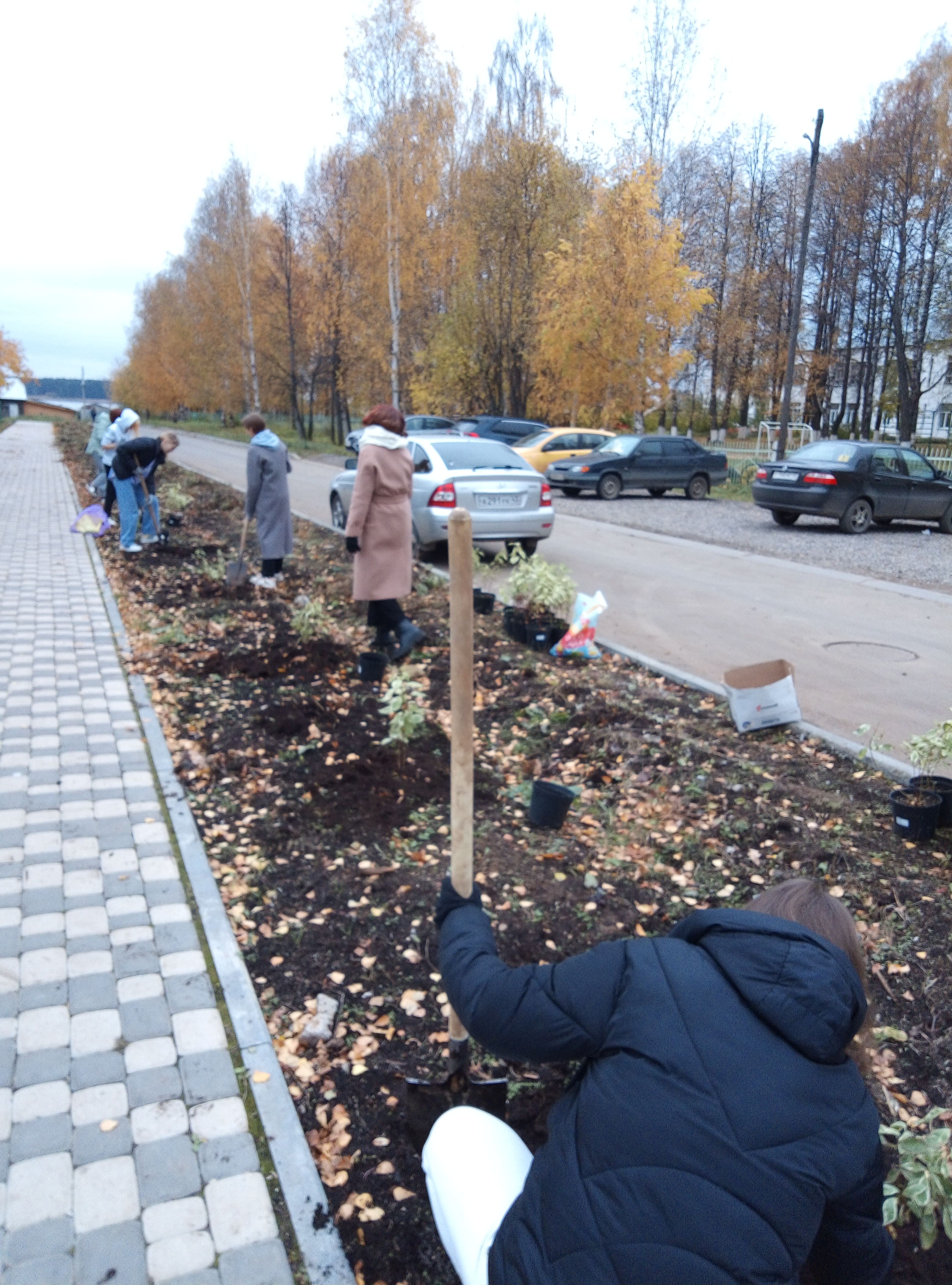 Субботник по посадке кустарников и цветов.