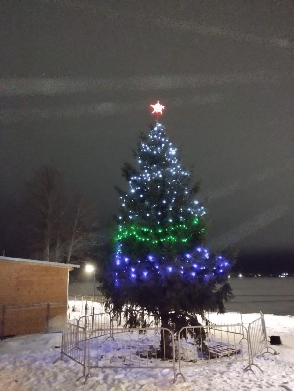 Украсили ель, растущую на территории Семейного парка.