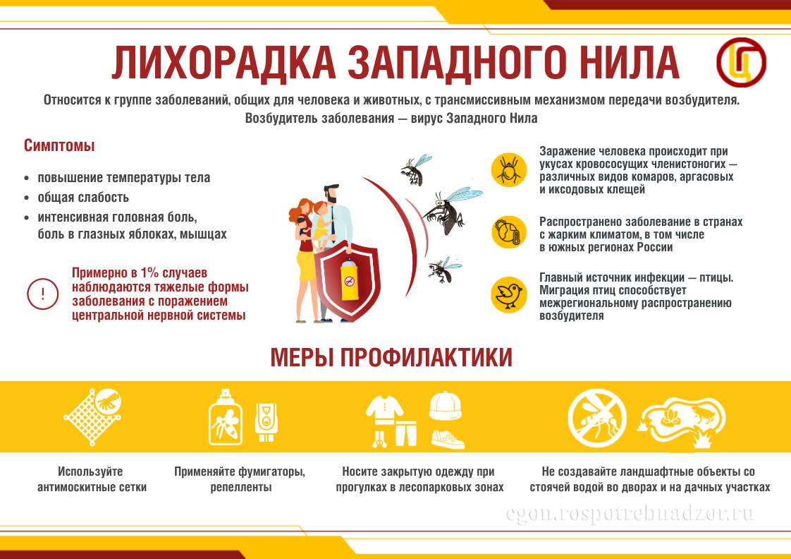 Лихорадка Западного Нила. Что нужно знать..