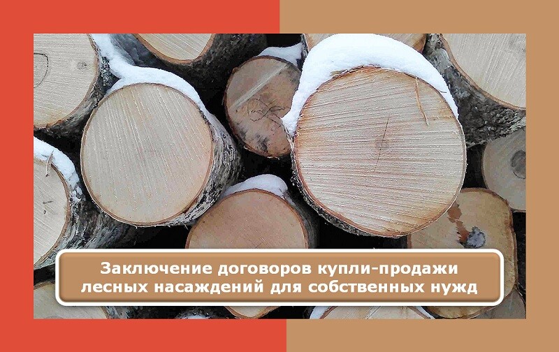 Перечень документов, необходимых гражданам на заключения договора купли - продажи лесных насаждений для собственных нужд:.