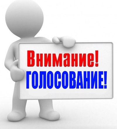 О голосовании за доступ к высокоскоростному интернету в малые населенные пункты.