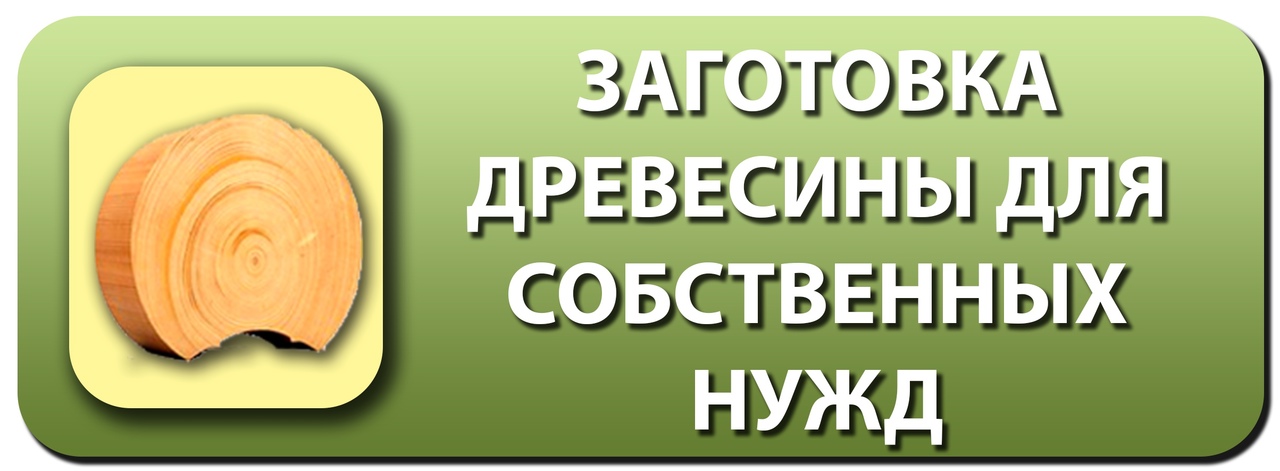 О запрете на отчуждение древесины, заготовленной гражданами для собственных нужд.