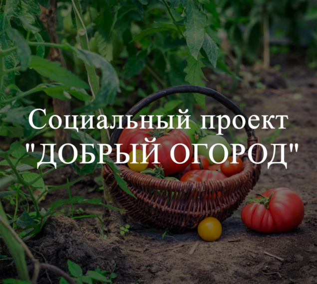 Реализация Всероссийского социального проекта #Добрый огород. Реализация Всероссийского социального проекта #Добрый огород.