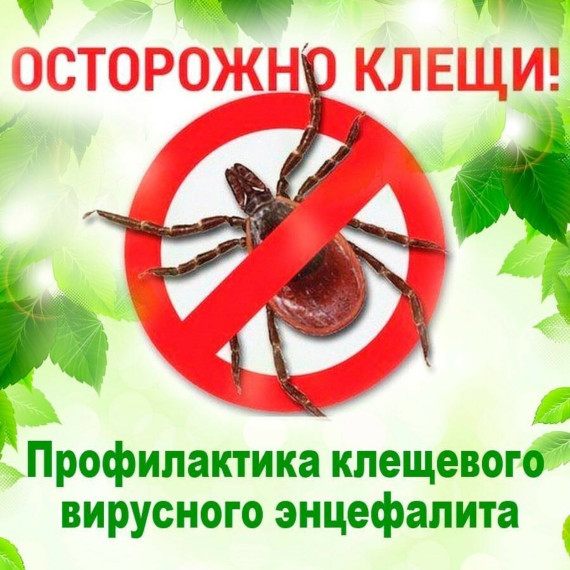 Памятка о профилактике клещевого вирусного энцефалита. Памятка о профилактике клещевого вирусного энцефалита.