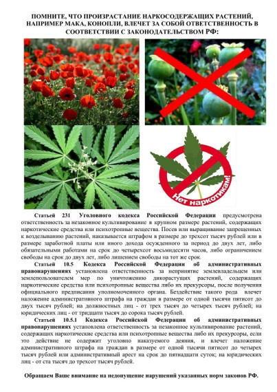 О проведении межведомственной оперативно-профилактической операции «Мак». О проведении межведомственной оперативно-профилактической операции «Мак».