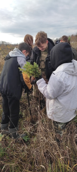 Продолжили высаживать саженцы ели в рамках проекта  «Практика лесного волонтёрства» на территории Омутнинского района.